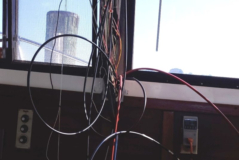 Cables - Birdnest.jpg