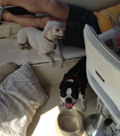 smaller maccabee and shakes on boat.jpg