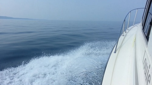 PIC6.jpg
