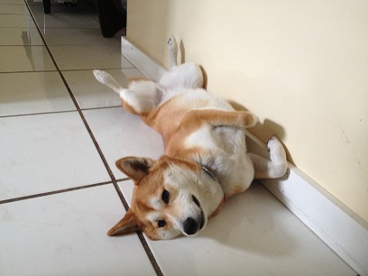 tuffy.jpg