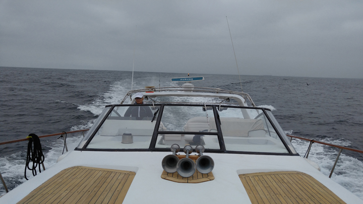 0806160851_HDRsmall.jpg