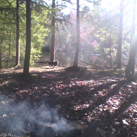 2013-04-25-171614.jpg