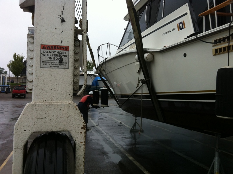 Haulout 2013.jpg