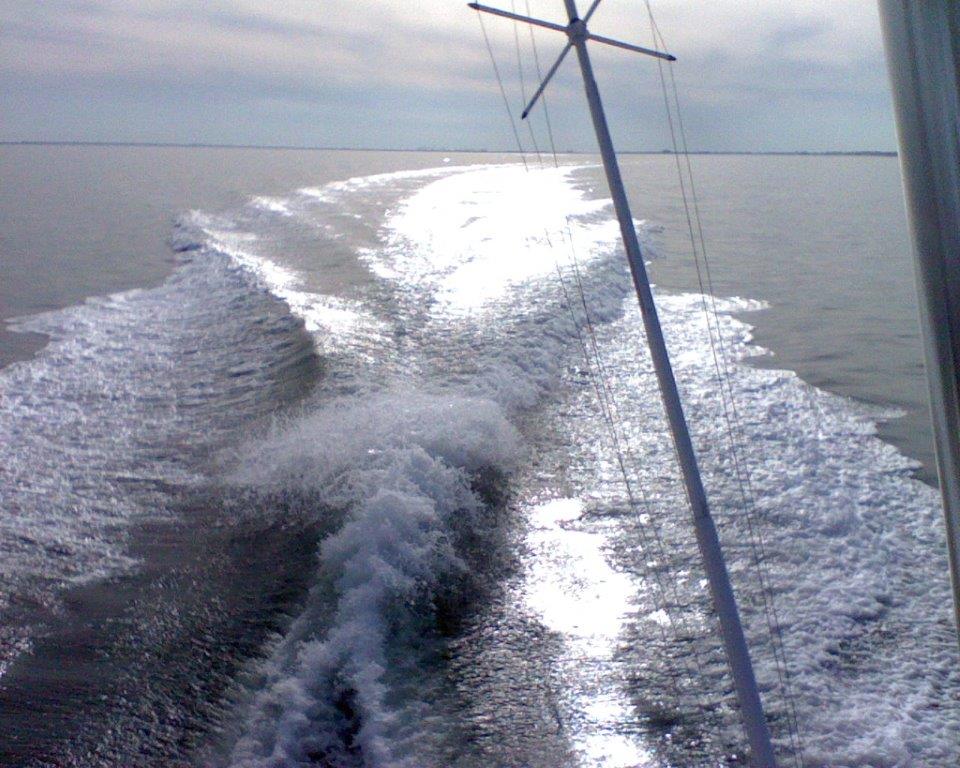 boat ride on new years 2.jpg