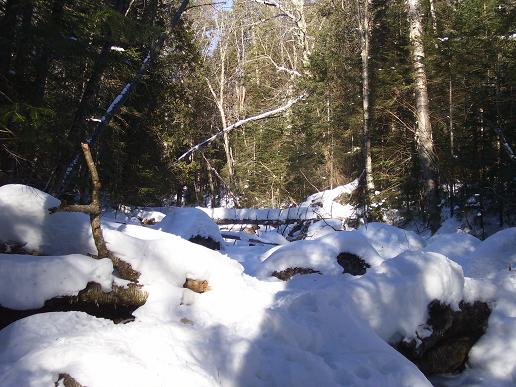 Skylight Brook.jpg