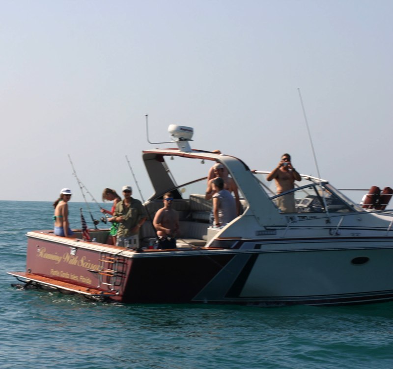 SMALL_sTpETEtRIP06.jpg