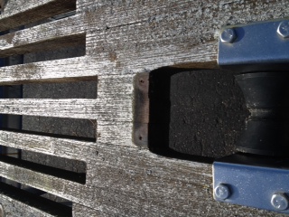 Teak 2.JPG
