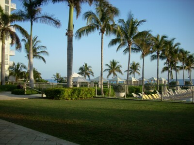 breakfast view