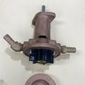 Raw Water Pump