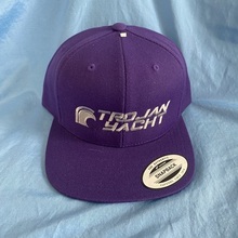 Trojan Cap Flat -- Purple / Silver (Canada)